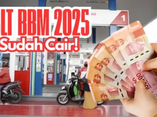 blt bbm 2025