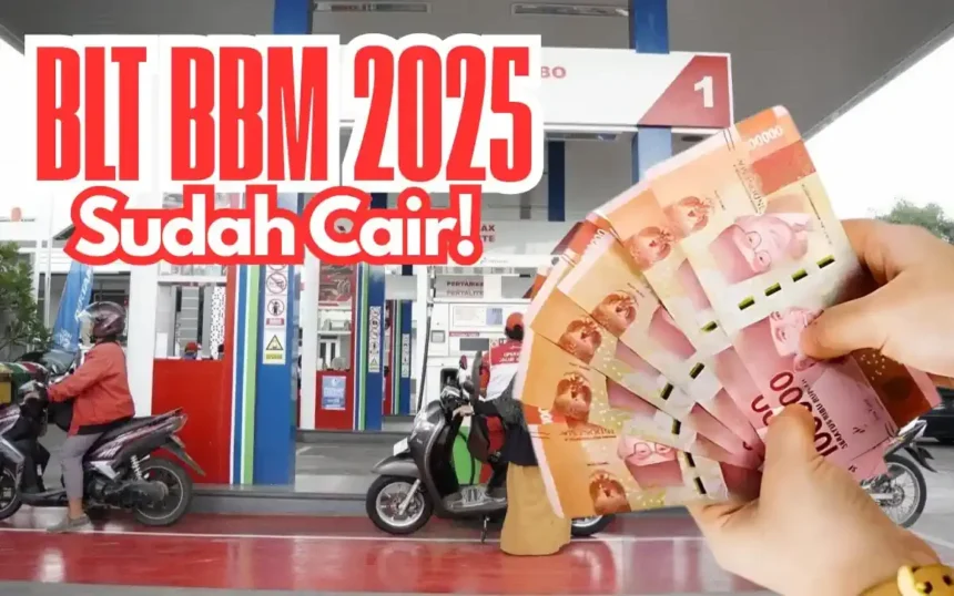 blt bbm 2025