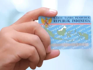 cek ktp online