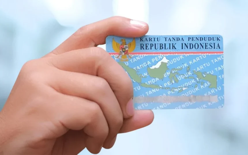 cek ktp online