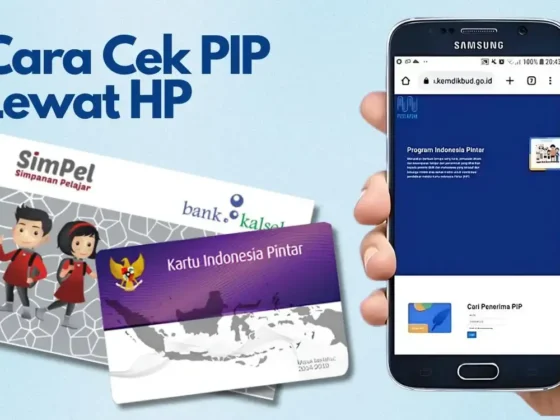 cara cek pip lewat hp