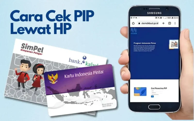 cara cek pip lewat hp