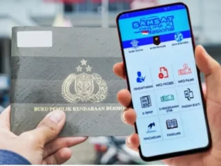 cek bpkb online