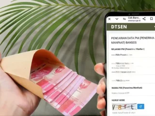 cek dtsen