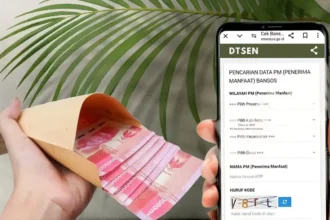 cek dtsen