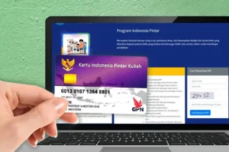 pip.dikdasmen.go.id 2025 cek data