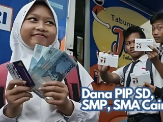 pip sd smp dan sma cair
