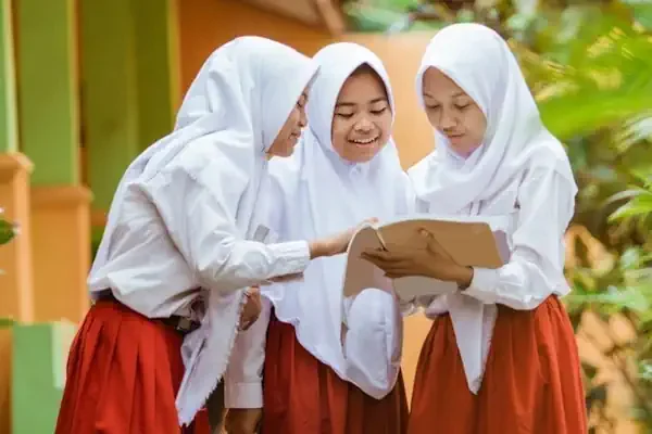 cek kjp plus